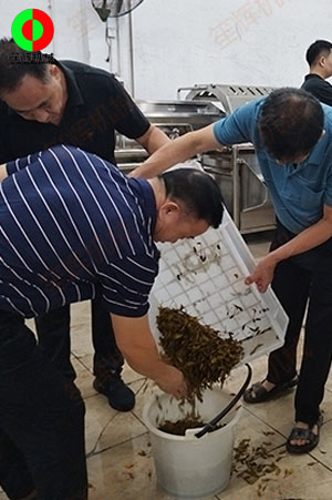 客戶來(lái)廠測(cè)試驗(yàn)貨果蔬清洗加工設(shè)備!